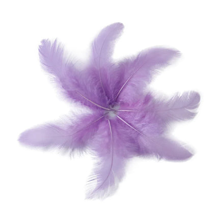 Natural Rooster Craft Feathers Bulk Lot