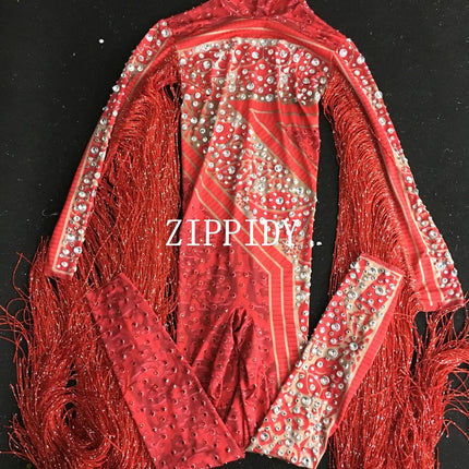 Silver Red Rhinestone Fringe Jumpsuit Stage Performance Outfit Dancer Catsuit