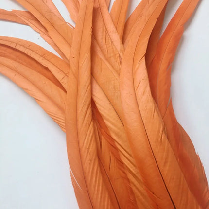 100pcs Natural Rooster Tail Feathers 10-16" Stage Performance Costume Plumes