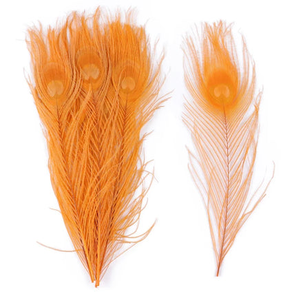 Premium Peacock Eye Feathers 10PC