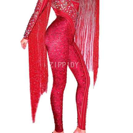 Silver Red Rhinestone Fringe Jumpsuit Stage Performance Outfit Dancer Catsuit