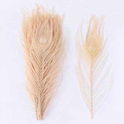 Premium Peacock Eye Feathers 10PC