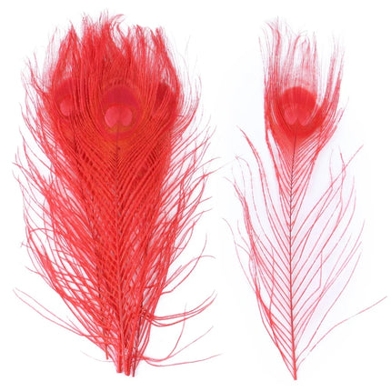 Premium Peacock Eye Feathers 10PC