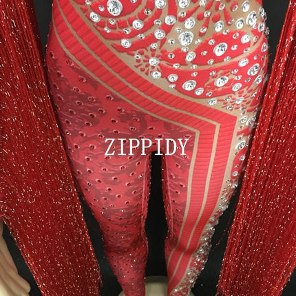 Silver Red Rhinestone Fringe Jumpsuit Stage Performance Outfit Dancer Catsuit