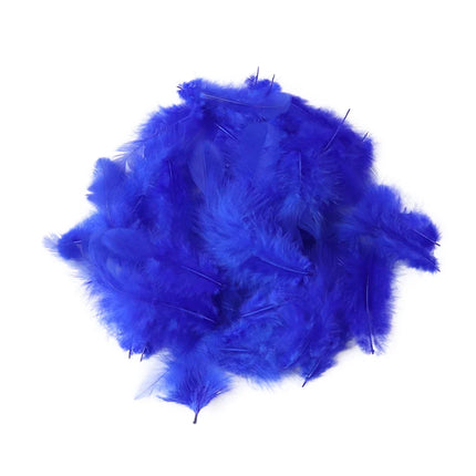 Natural Rooster Craft Feathers Bulk Lot