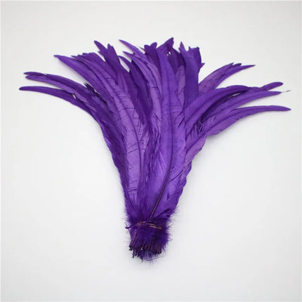 50pcs Natural Rooster Tail Feather Plumes