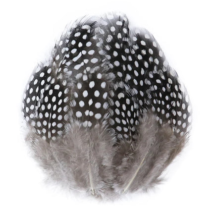 Natural Spotted Guinea Fowl Feathers 100PC