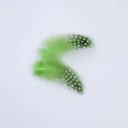 Apple Green / 100PCS