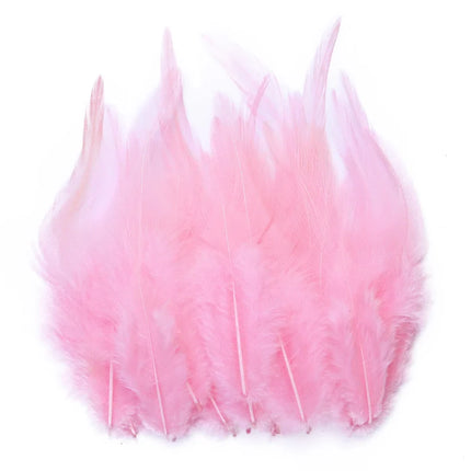 Natural Pheasant & Chicken Craft Feathers Bulk Lot