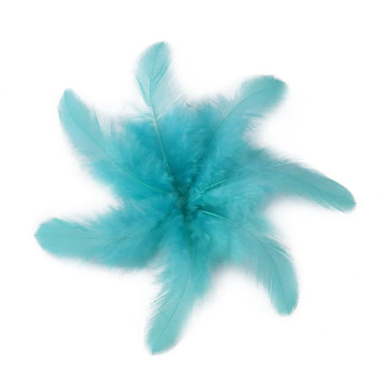 Natural Rooster Craft Feathers Bulk Lot