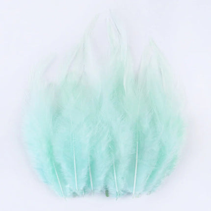 Natural Pheasant & Chicken Craft Feathers Bulk Lot
