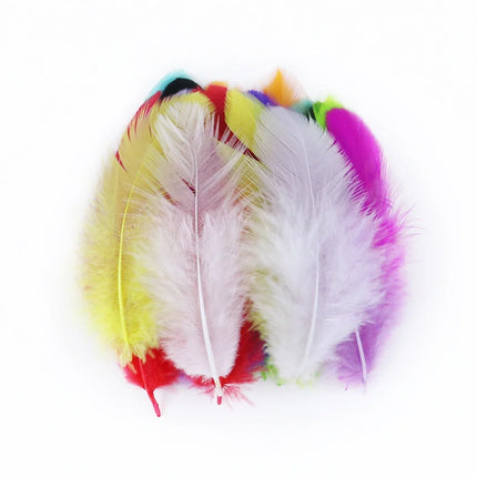 Natural Rooster Craft Feathers Bulk Lot