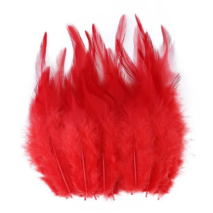 Natural Pheasant & Chicken Craft Feathers Bulk Lot
