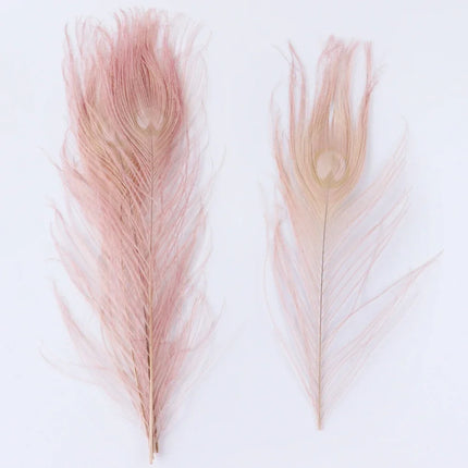 Premium Peacock Eye Feathers 10PC