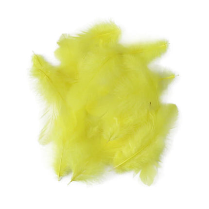 Natural Rooster Craft Feathers Bulk Lot