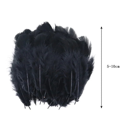 Natural Rooster Craft Feathers Bulk Lot