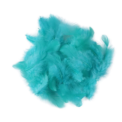 Natural Rooster Craft Feathers Bulk Lot
