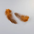 Orange / 100PCS
