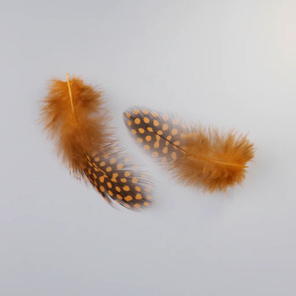 Natural Spotted Guinea Fowl Feathers 100PC