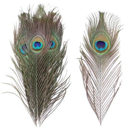 Premium Peacock Eye Feathers 10PC