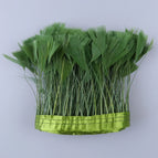 Dark Green / 2Meters