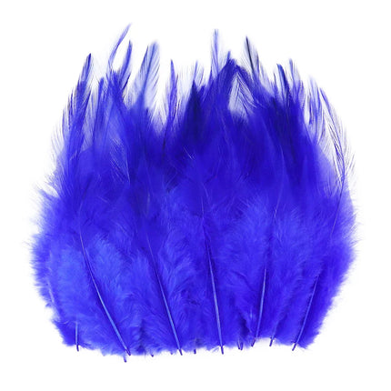Natural Pheasant & Chicken Craft Feathers Bulk Lot