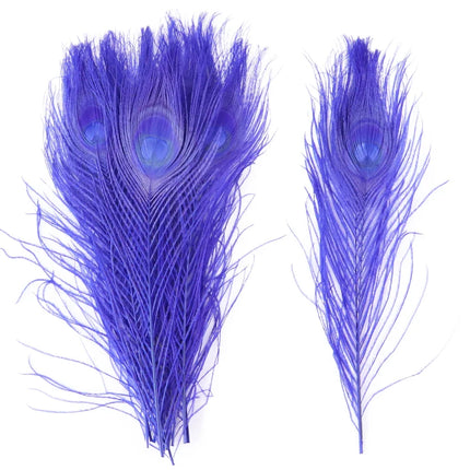 Premium Peacock Eye Feathers 10PC