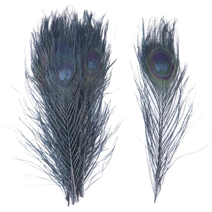 Premium Peacock Eye Feathers 10PC