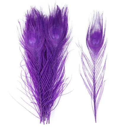 Premium Peacock Eye Feathers 10PC