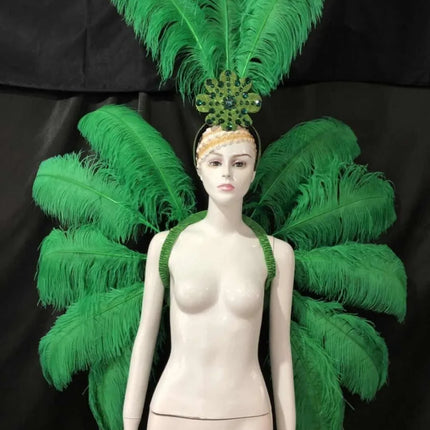 Feather Backpiece and Plume Headdress Set