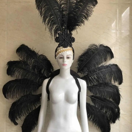 Feather Backpiece and Plume Headdress Set