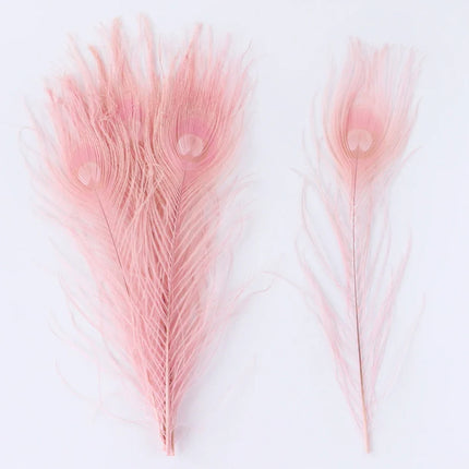 Premium Peacock Eye Feathers 10PC