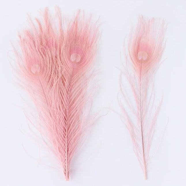 Premium Peacock Eye Feathers 10PC