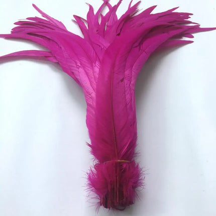 100pcs Natural Rooster Tail Feathers 10-16" Stage Performance Costume Plumes