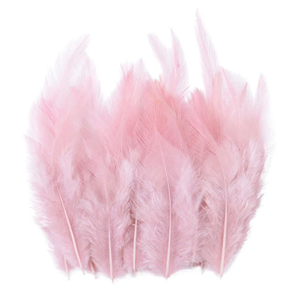 Natural Pheasant & Chicken Craft Feathers Bulk Lot
