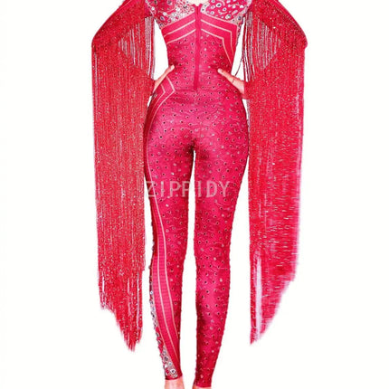 Silver Red Rhinestone Fringe Jumpsuit Stage Performance Outfit Dancer Catsuit