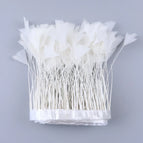 White / 2Meters