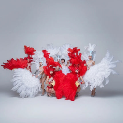 Ostrich Feather Headdress & Pearl Suit Stage Costume Set