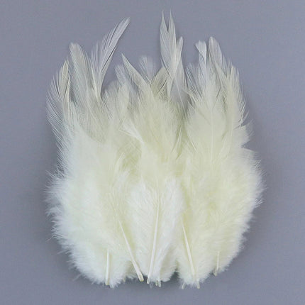 Natural Pheasant & Chicken Craft Feathers Bulk Lot