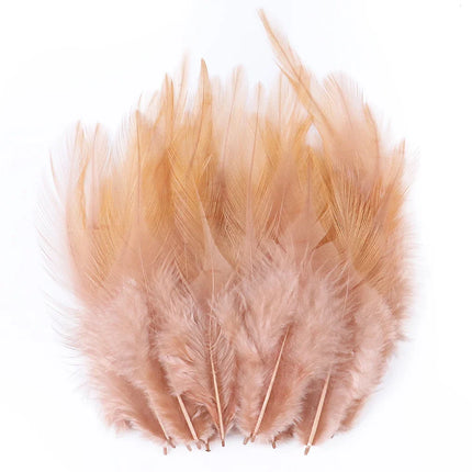 Natural Pheasant & Chicken Craft Feathers Bulk Lot