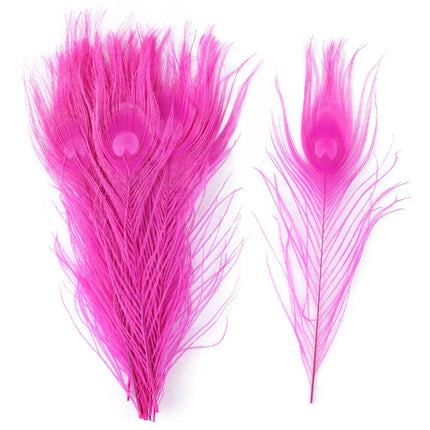 Premium Peacock Eye Feathers 10PC
