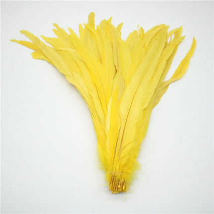 50pcs Natural Rooster Tail Feather Plumes