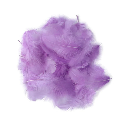 Natural Rooster Craft Feathers Bulk Lot