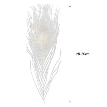 Premium Peacock Eye Feathers 10PC
