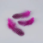 Rose Red / 100PCS