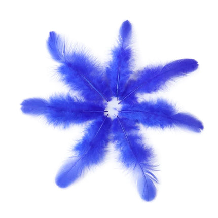 Natural Rooster Craft Feathers Bulk Lot