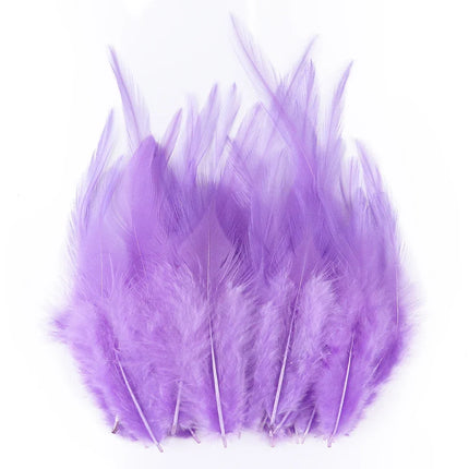Natural Pheasant & Chicken Craft Feathers Bulk Lot