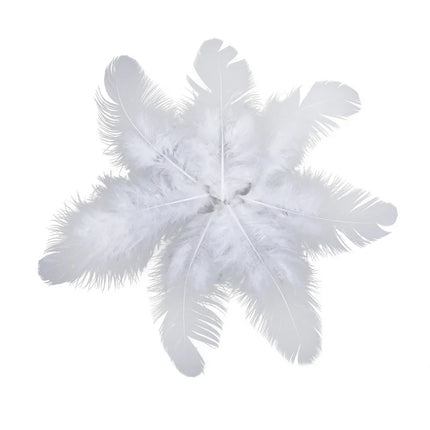 Natural Rooster Craft Feathers Bulk Lot