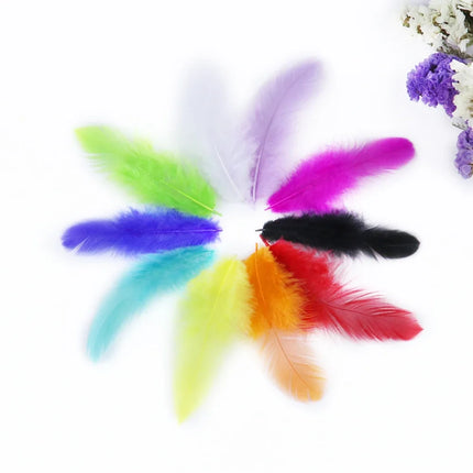 Natural Rooster Craft Feathers Bulk Lot