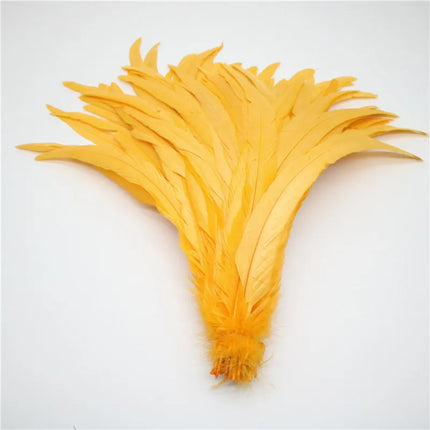 50pcs Natural Rooster Tail Feather Plumes